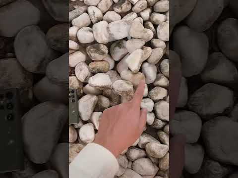 Moye - Moye Happened With Myself 🤣 | World's Best Display #Shorts