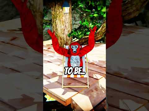 He Found a Youtuber... #gorillatag