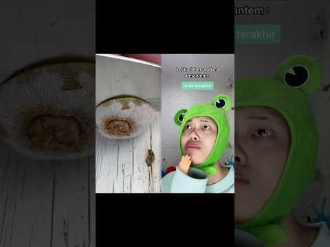 salam dari binjai ๐๐ป๐ #music #halloween #disney #party #trailer #movie #edms #funny