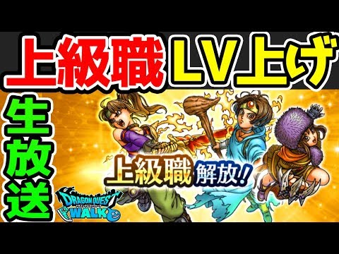 上級職レベル上げ生！本日の議題【常闇の槍強い？効率レベル上げ！上級職3種一番強いのは？】【ドラクエウォーク】