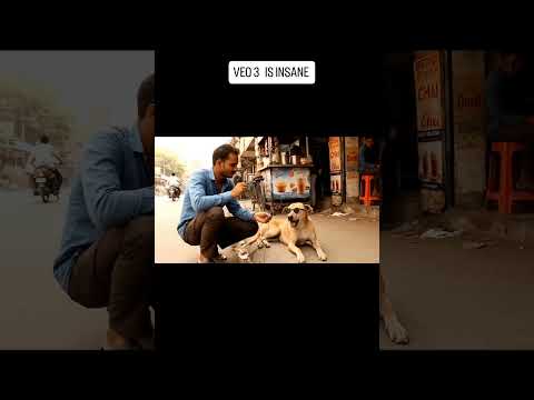 The AI Dog Reporter Just Got Weirder