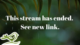 This stream has ended. See new link in description!