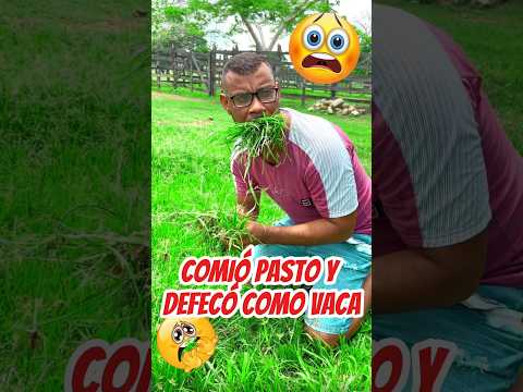 COMIÓ PASTO Y DEFECÓ COMO VACA