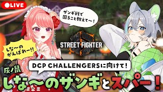 【 #スト6 】しなのザンギと本田スパー🔥DCP CHALLENGERSがんばれ～！！【 杏藤ぴちか / 灰ノ鼠しなの 】