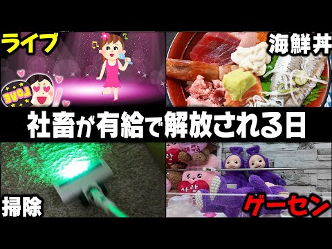 【有給vlog】久々の有給 愉快な店主の海鮮丼 aikoさんのライブ 楽しすぎました