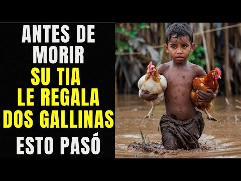 Humillaron a Este Niño, Cuando Su Tía Le Regaló Un Par de Gallinas, Pero Luego Pasó Esto