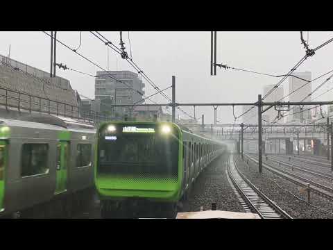 Tôkyô Trains in the Storm