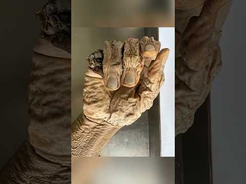 أكثر الصور النادرة على الإنترنت 🤯😳 جزء 135