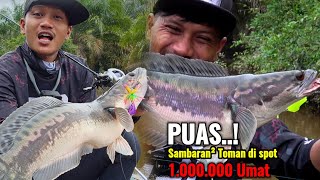 DI LUAR DUGAAN..! GANAS NYA TOMAN DI SPOT INI MEMBUAT TANGAN GEMETAR
