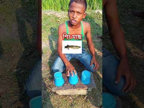 Awesome game with fish#shortsviral #shortsyoutube #shortvideo #shorts #short #sports #fish #fishing