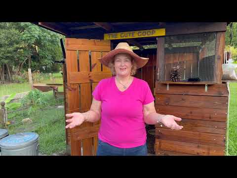 How to Keep Your Chickens Safe From Predators
