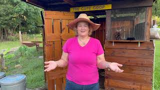 How to Keep Your Chickens Safe From Predators