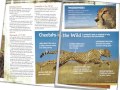 Exploring Text Features and Previewing Techniques