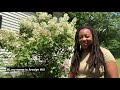Understanding Pollinators and Bee Houses