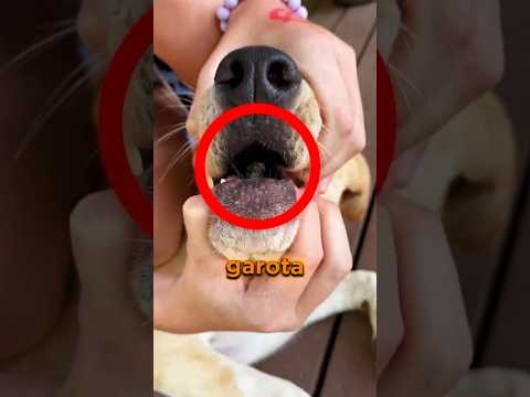 Quando ela viu o que tinha dentroβ¦ ficou em choque π²π±