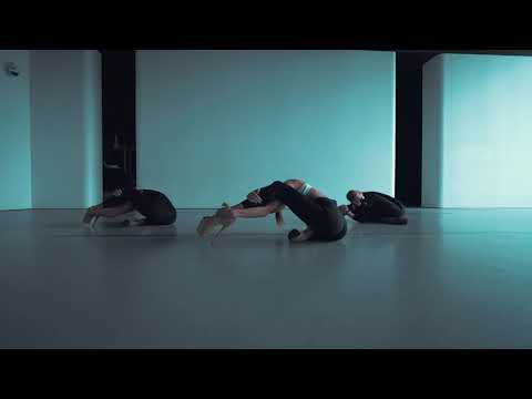 SEVDALIZA - Gole Bi Goldoon / STRIP CHOREO