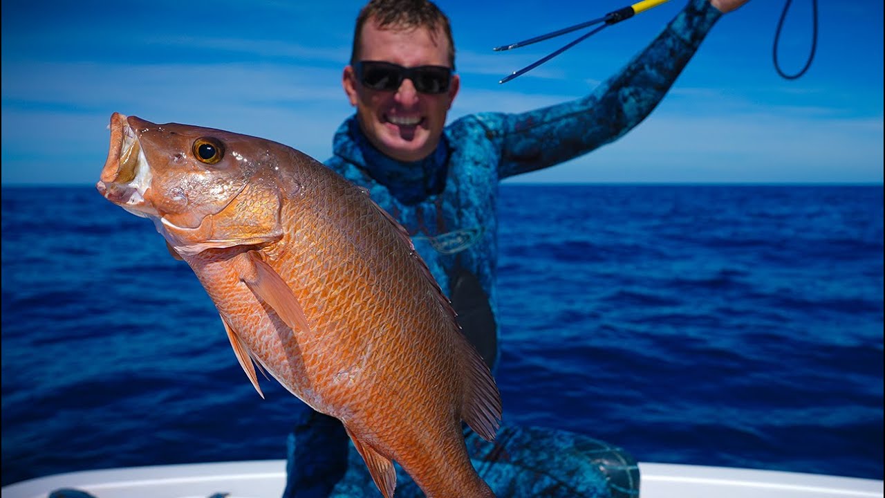 Spearing Monster Mango's with Primitive Paralyzer Pole-spear! Catch Clean Cook