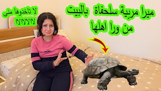 ميرا مربية سلحفاة بالبيت بالسر 😱من ورا ابوها !!