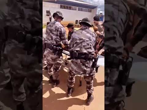 Tático Coloca Fim Em Peba Que Aterrorizava  Cidade De Jandaia Estado de Goiás Brasil#peba#viral