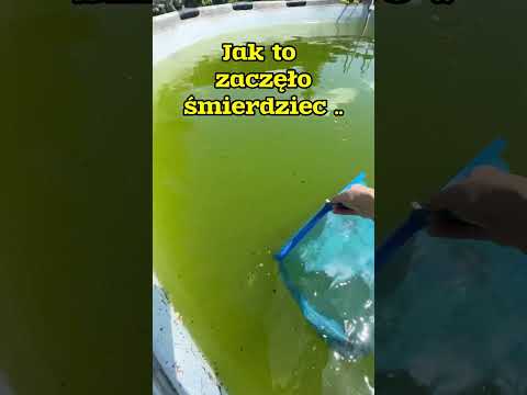 MAM NA WSZYSTKO SPOSOBY MUAHAH