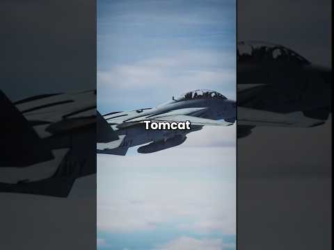 This Gap In Fighter Jets Prevents Deadly Engine Failure