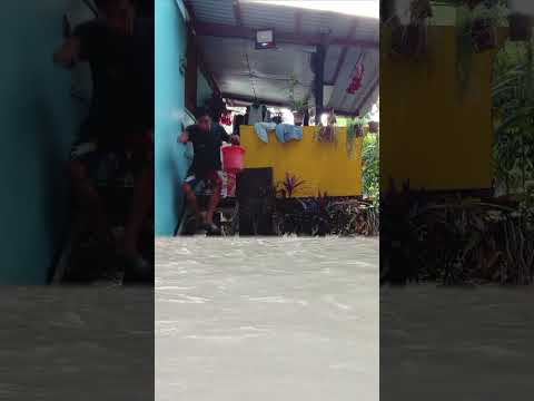 nag baha man d i