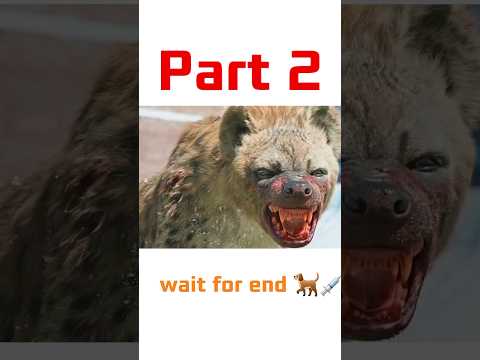 Dangerous crazy dog 🐕💉 Part 2 #shorts