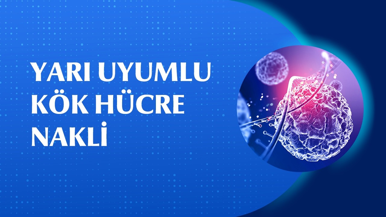 Kemik İliği Naklinde Tam Uyumlu Verici Bulunamazsa Ne Yapılır?