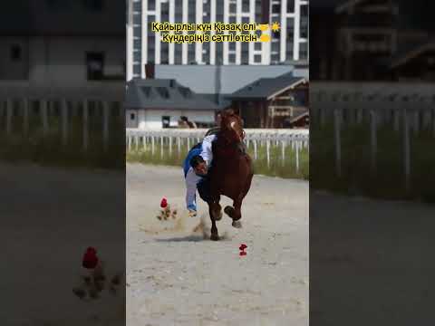 Теңге ілу – қазақтың ат үстінде ойнайтын нағыз ұлттық ойыны👍🇰🇿 #бөлісу #ұсыну #тарату #horse #rek