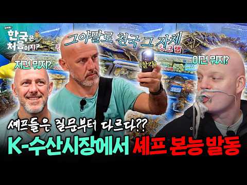 (1시간) 셰프들의 예리한 질문에 모두 깜짝!!😮💥 K-수산시장에서 직업 본능 나온 셰프들🧑‍🍳 | #어서와한국은처음이지 | EP.389 외
