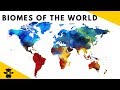 Exploring the 7 Major Biomes of the World