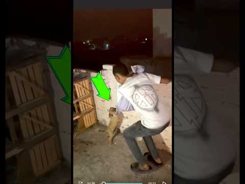 كان عايز ياخد حقه #محمد_الكويتي