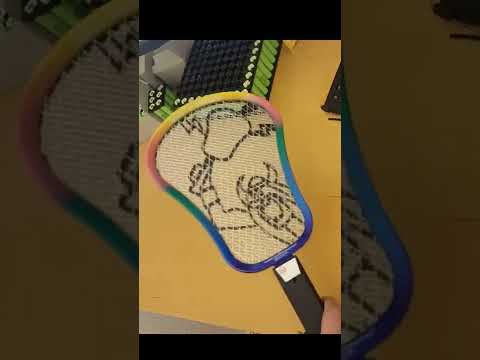 DIY Elektroschocker selber bauen aus Elektrische Fliegenklatsche  Insekten Schröter