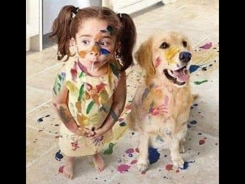 😺 Мамочка, не ругайся! 🐕 Смешное видео с собаками и кошками! 😸