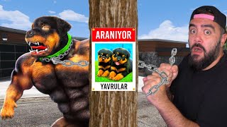 CHOP'UN YAVRULARI KAYIP OLDU CHOP ÇILDIRDI - GTA 5 MODS