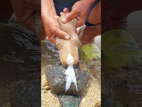 Squeezing NOODLES From a Sea Cucumber?! 🍜