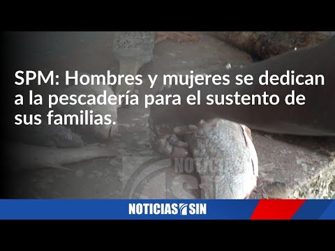 SPM:Hombres y mujeres se dedican a la pescadería para el sustento de sus familias