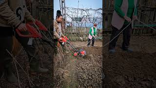 NEVASTA VREA SA II CUMPAR MOTOCULTOR PROFESIONAL SA II CUMPAR SAU NU?