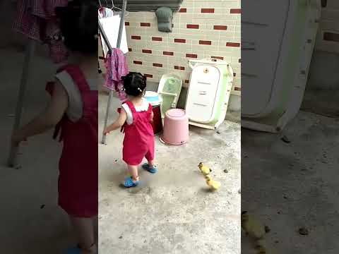 Baby's little follower #cute baby#cute baby funny daily#little duck