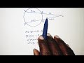 Chords and Quadratic Relationships