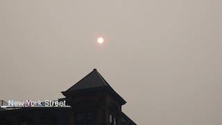Canadian Wildfire Smoke Blankets NYC July 16 2026