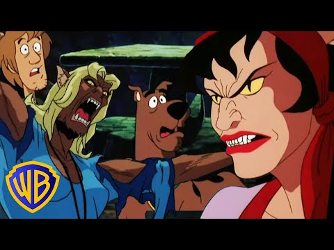 Sauvetage par les Gens-Chats | Scooby-Doo! en Français 🇫🇷WB Kids Français