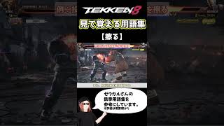 【鉄拳8】見て覚える用語集【擦る】