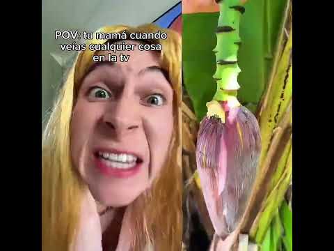 #lentejas #noflop #lilygarcia #fypシ #StoryTime #xybca #ASMR