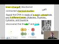 Exploring DNA and Protein Synthesis Concepts