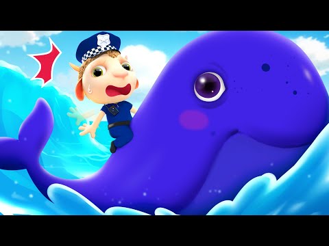 New Big Friend Whale | Funny Cartoon for Kids | Dolly and Firends 3D | Short Stories