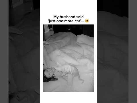 My New Kitten's Midnight Cuddles Are... Something Else 😹 #shorts