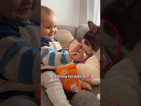 When Baby & Cat become Friends #viral #youtubeshorts #shorts #shortsfeed