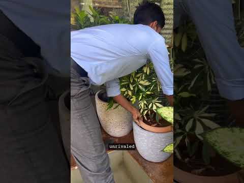 This maybe the easiest decor hack you’ve ever seen