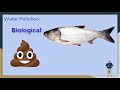 Environmental Conservation and Pollution Concepts